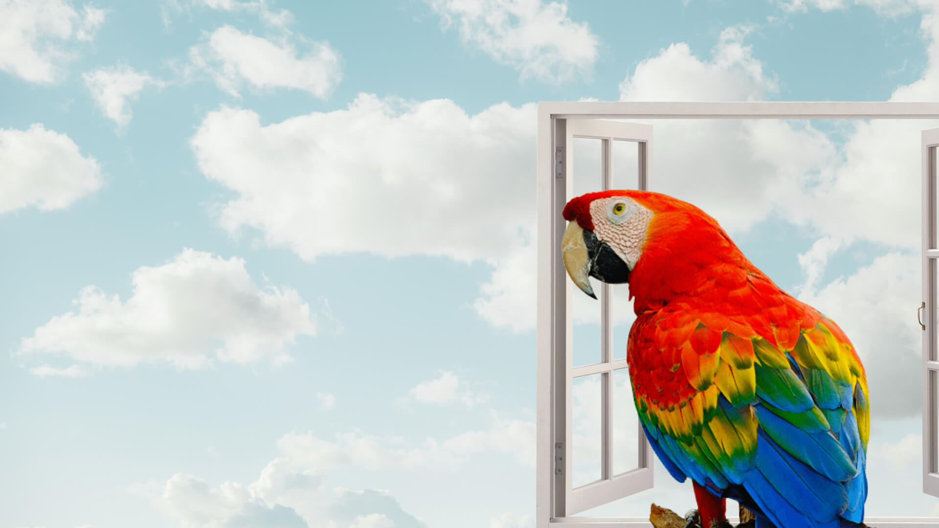 Montare geamuri termopan in Chisinau